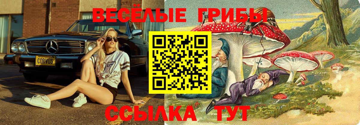 Псилоцибиновые грибы Psilocybine cubensis Изобильный